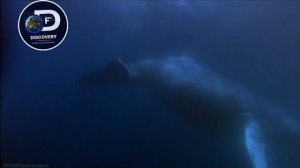 Правильно настроенные таймкоды №3