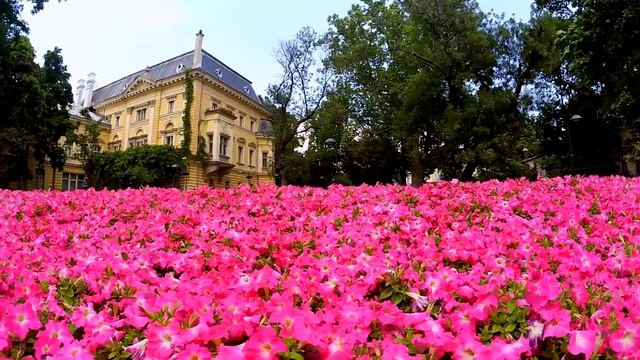 СОФИЯ, Болгария | SOFIA, Bulgaria