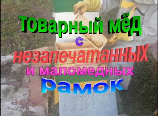 Как получить товарный мед с маломедных и незапечатанных рамок в конце медосбора. смотреть онлайн