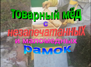 Как получить товарный мед с маломедных и незапечатанных рамок в конце медосбора.
