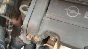 Звук цепи ГРМ Opel Corsa D1.4 Z14XER
