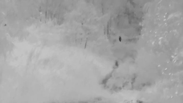 Monóculo Térmico Hikvision 10mm - Javali a 80mt смотреть онлайн