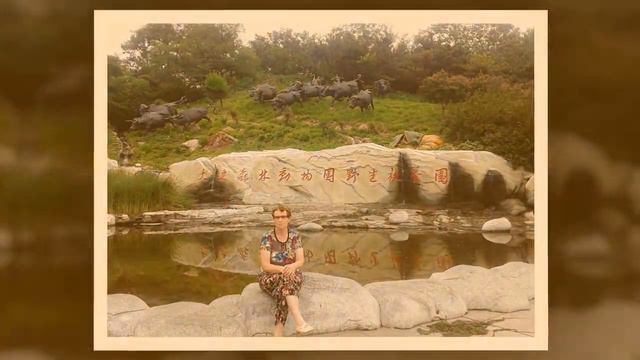 Сердце мое Китай смотреть онлайн