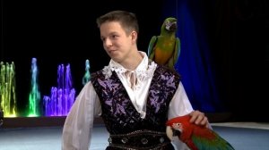 Как обучать и воспитать попугая?