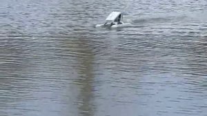 испытание плавникового движителя-АВГ2012.wmv