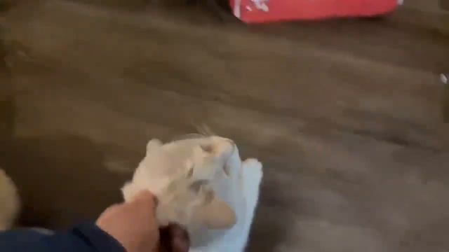 Гера и его маленький обувной гешефт. У кого есть лишняя пара обуви?