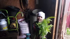 #ЛОСЬ#ПТИЧКИ#НЕТЕЛЬ#СОВЕТЫ#КОРОВЫ#