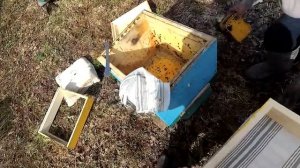 Зимовка пчел в деревянных ульях на сетчятом дне 3