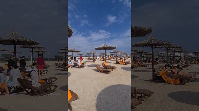 остров Сир Бани Яс 2023г.январь смотреть онлайн