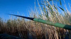 ловля здоровенных карасей на боковой кивок, обалденный клев. Часть-2