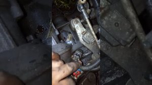 Ремонт двс Daewoo leganza! Подготовка к снятию двс, проводка, генератор, разъём датчика ДМ...