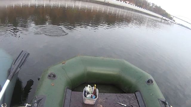 ЛОВЛЯ ОСЕННЕЙ РЫБЫ ФИДЕРОМ.КАРПОВЫЕ ГРАНУЛЫ В ПРИКОРМКЕ