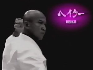 Рюэй рю каратэдо, разбор ката Хэйку