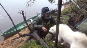 Сапоги, собака, тайга #15