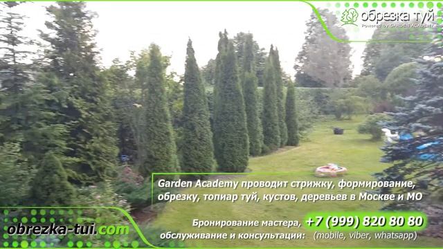 Стрижка туй Москва Обрезка туй ☎+7-999-820-80-80 www.Obrezka-tui.com смотреть онлайн
