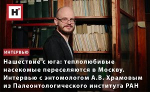 ТЕПЛОЛЮБИВЫЕ НАСЕКОМЫЕ ПЕРЕСЕЛЯЮТСЯ В МОСКВУ. ИНТЕРВЬЮ С ЭНТОМОЛОГОМ АЛЕКСАНДРОМ ХРАМОВЫМ