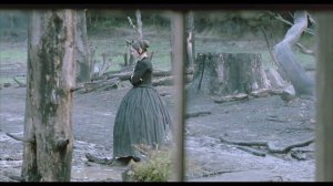 ✦ the piano (1993)