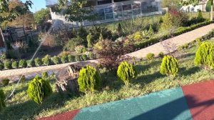 Альбатрос Архипо-Осиповка сентябрь 2022 г.