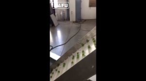 производство конфет, производство конфет, машина для производства конфет