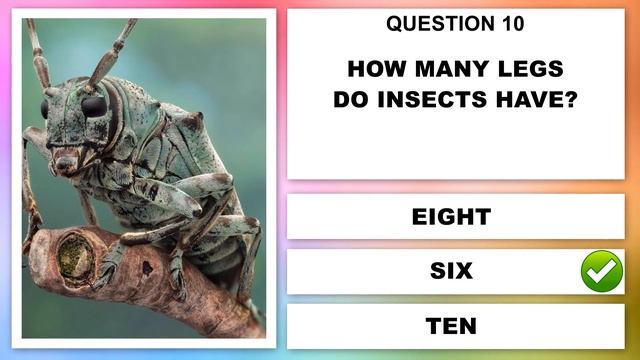 Basic Science Quiz for Kids | General Knowledge Questions and Answers смотреть онлайн