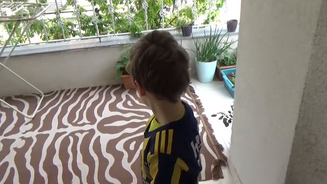 Мой сад и огород/День детей в Турции/Занятия йогой/Моя любимая семья смотреть онлайн