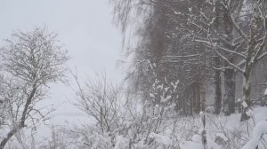 Любовь тульпы. Отношения с тульпой.