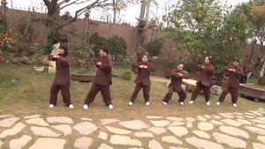 Вьетнамский цигун Цигун.рф