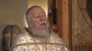 Рождестве Христовом!!!Священник Димитрий Смирнов.