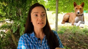 СЛОЖНЫЕ ПОРОДЫ СОБАК