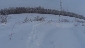 Снегоступы Alexika Alaska - ОБЗОР и ТЕСТ