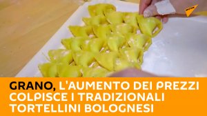 Grano, l'aumento dei prezzi colpisce i tradizionali tortellini bolognesi