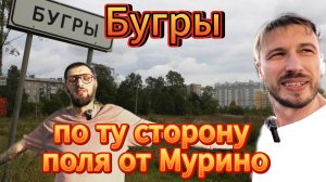 Бугры. По ту сторону поля от Мурино