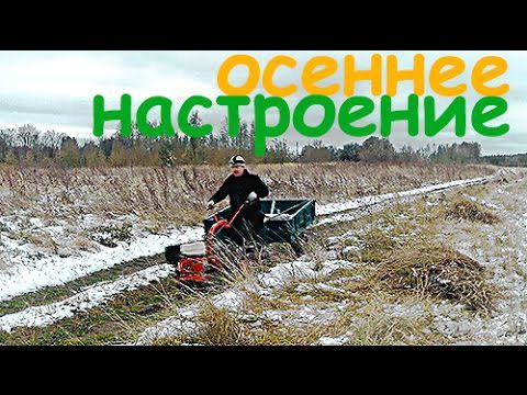 Осеннее настроение.