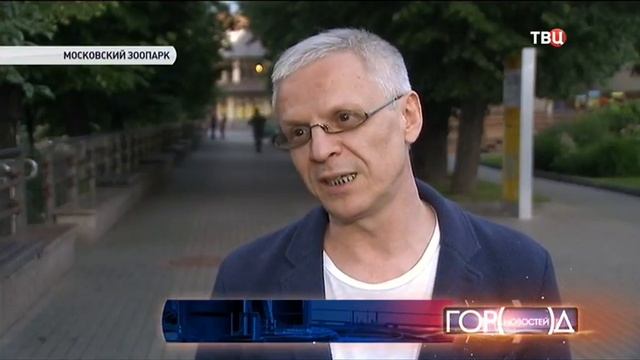 В Московском зоопарке появились вечерние экскурсии смотреть онлайн