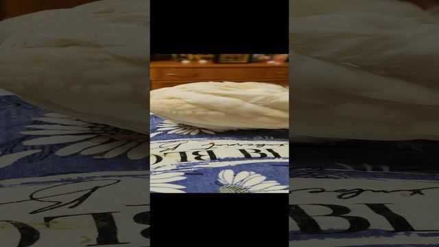 Ричи умывается