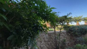 Египет. Неужели лучший? Stella Di Mare Beach 5*. Обзор отеля. Шарм эль Шейх