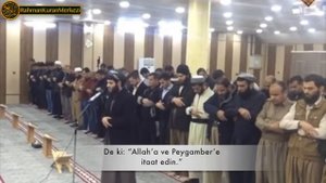 Красиво чтения Коран Quran Мухаммад аль курди