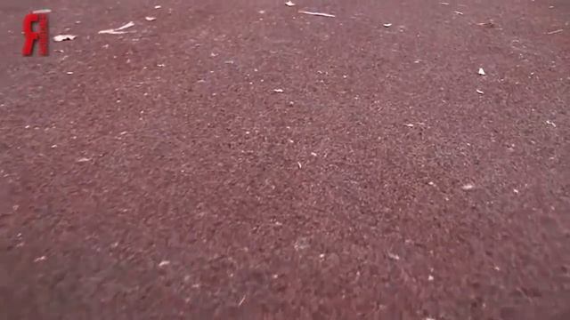 ЯБ2016 Производства покрытий и материалов из резиновой крошки ООО «Экополис» смотреть онлайн