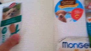 покупки для йоркширского терьера/ покупка для собак/ покупки для собаки