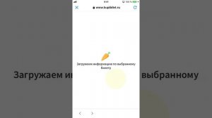 Как купить билет на самолет через телефон (iphone)