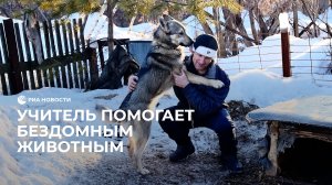 Учитель помогает бездомным животным