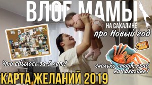 Карта желаний 2019: что сбылось за 5 лет | Планы на 2024 | Как встретили НГ | Влог мамы (74)