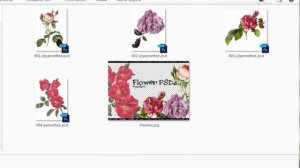 Flores en PNG ❀ Mega Pack