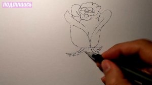 Как нарисовать РЕАЛИСТИЧНУЮ РОЗУ ручкой очень просто - рисунки для начинающих - поэтапное рисование