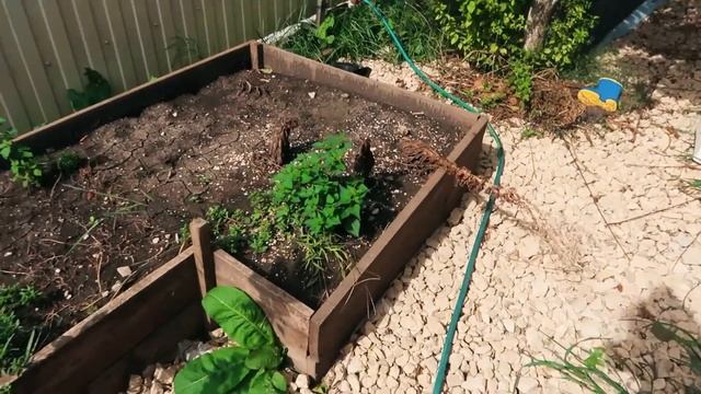 Будни мамы/Яблочное пюре на зиму/Готовим участок/Навестили Сеню/Покупки продуктов