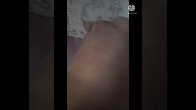 вакцинащия собаки от глистоф. смотреть онлайн