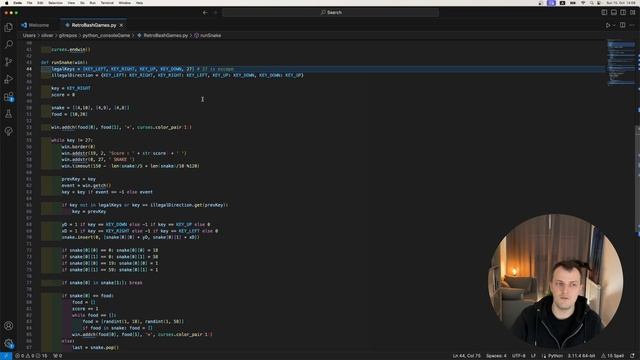 Python Retro Game Collection: History lesson - How to code snake!