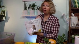 Дачные сезоны с Мариной Рыкалиной Пересаживаем рассаду эустомы