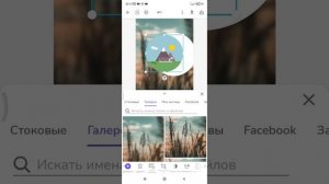 ОСНОВЫ СОЗДАНИЯ ШАБЛОНА В ПРИЛОЖЕНИИ DESYGNER (ДИЗАЙНЕР)