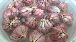 Чеснок солёный